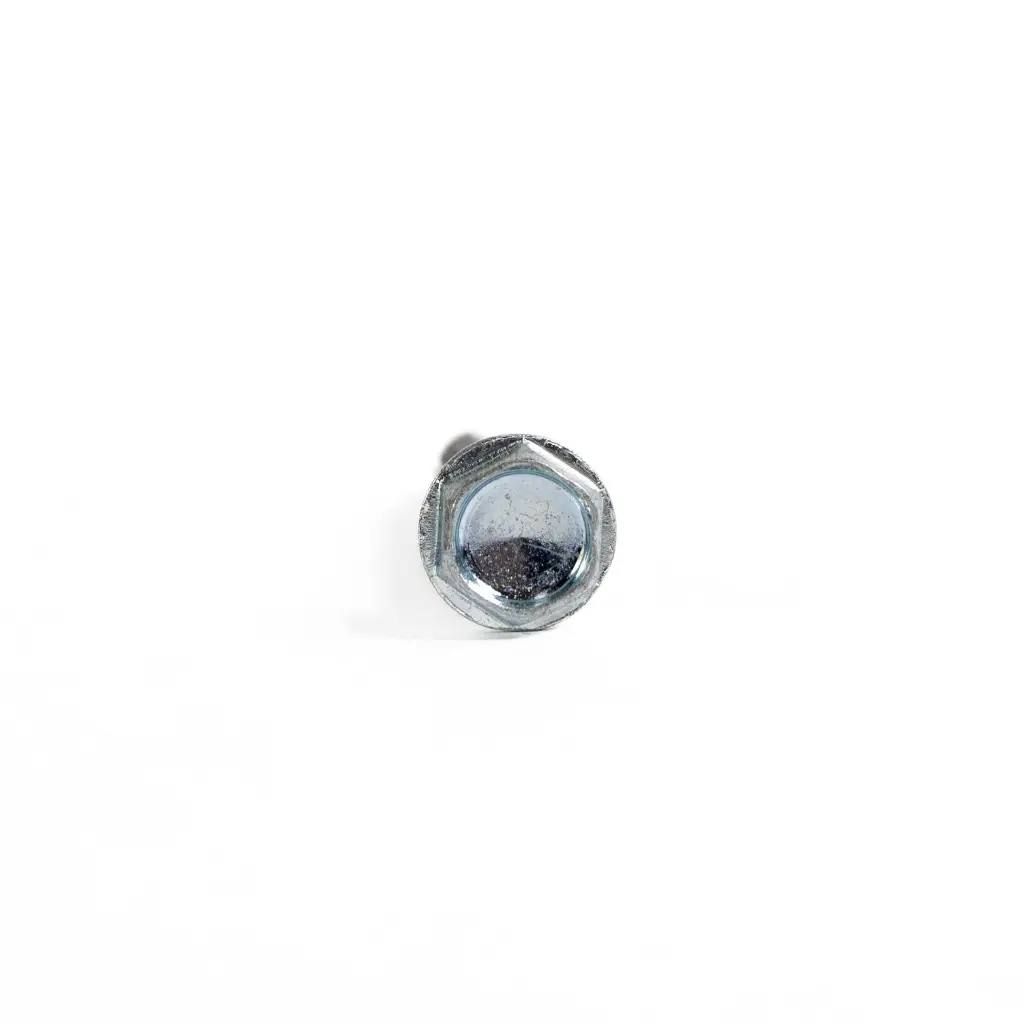Zelfborende schroef 6.30 x60-6.webp
